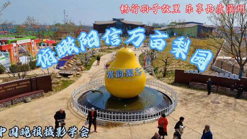 俯瞰阳信万亩梨园